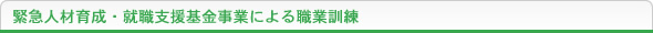 ً}lވ琬EAExƂɂEƋA
